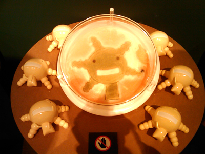 IMAG0065.jpg