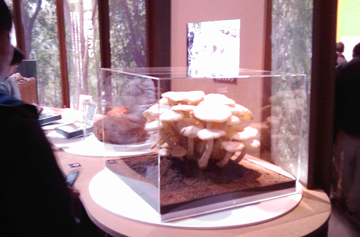IMAG0080.jpg