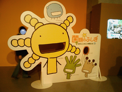 IMAG0082.jpg