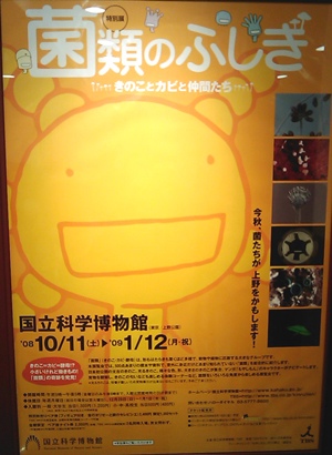 IMAG0088.jpg
